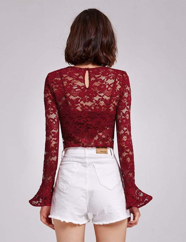 Wine Lace Alisa Pan Sheer Long Sleeve Top